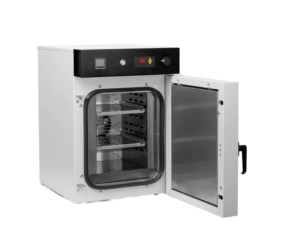 Laboratory electric oven